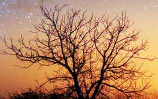 别只盯着爱游戏体育像不像，真正要看的是页面脚本和客服身份