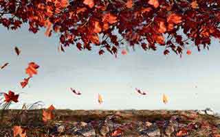 别再抱侥幸了，关于新澳彩资料的法律风险，比你想的更近：别被‘稳赚’冲昏头