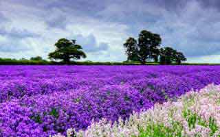 我当场沉默了：我差点因为开云网页踩坑，真正关键在这：10秒快速避坑