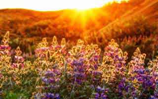 气笑了，爱游戏官网这事真的不能图快，别给自己添麻烦