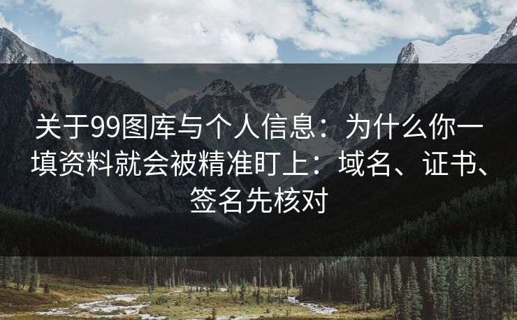 关于99图库与个人信息：为什么你一填资料就会被精准盯上：域名、证书、签名先核对